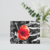 Red Poppy Postkarte (Stehend Vorderseite)