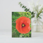 Red Poppy Postkarte (Stehend Vorderseite)
