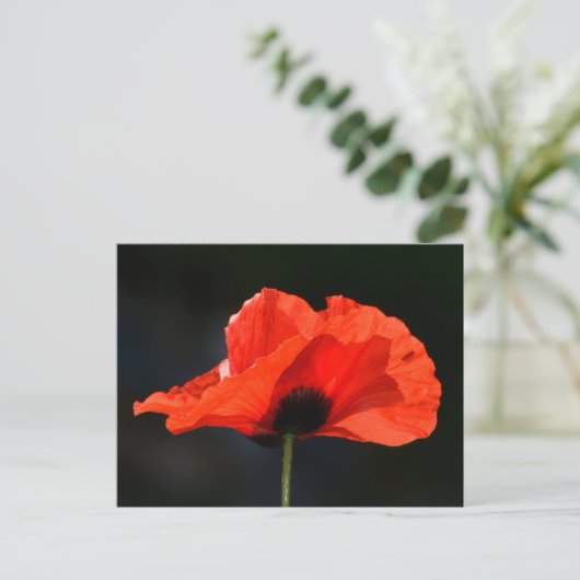 Red Poppy Postkarte (Stehend Vorderseite)
