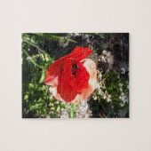 Red Poppy Puzzle (Horizontal)