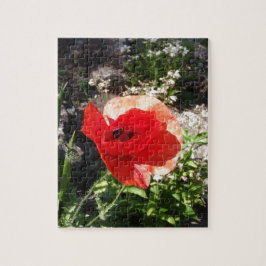 Red Poppy Puzzle