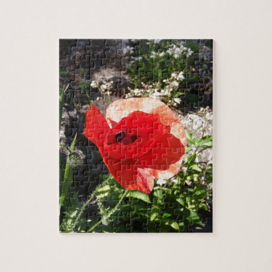 Red Poppy Puzzle (Vertikal)