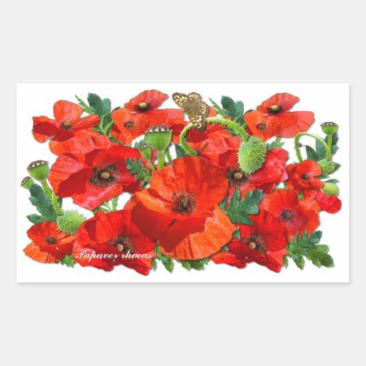 RED POPPY ~ Rectangle Stickers (Vorderseite)