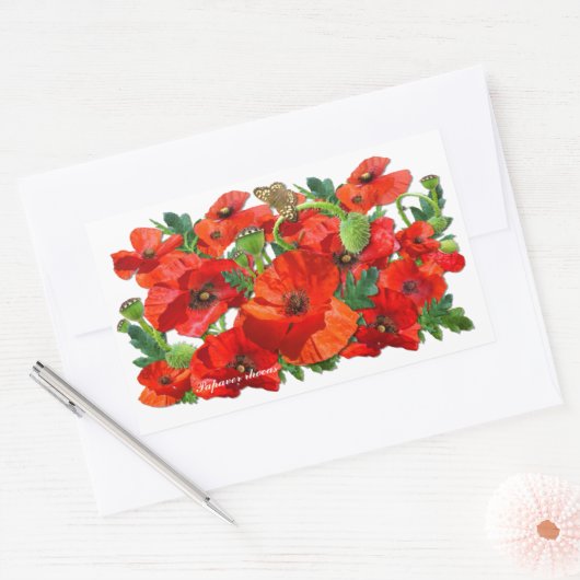 RED POPPY ~ Rectangle Stickers (Umschlag)