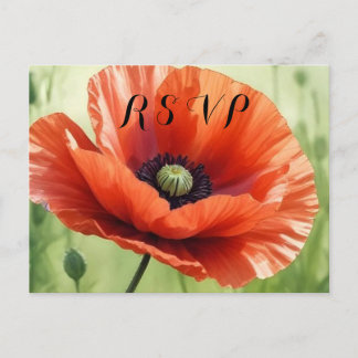 Red Poppy RSVP Postcard Einladungspostkarte