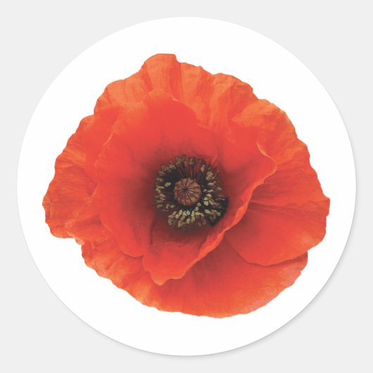 Red Poppy Runder Aufkleber (Vorderseite)