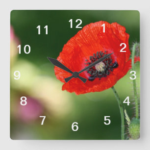 Red Poppy Seed Wall Clock Quadratische Wanduhr