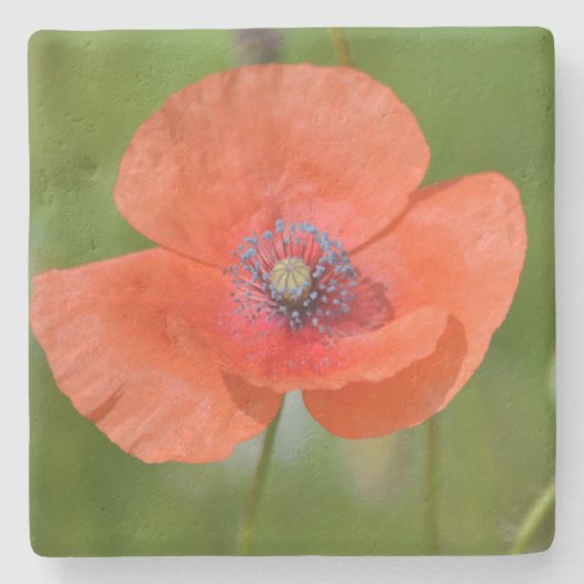 Red Poppy Steinuntersetzer (Vorderseite)