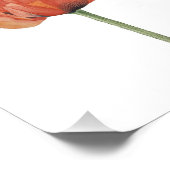 Red Poppy Watercolor Botanical Print Fotodruck (Ecke)