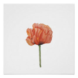 Red Poppy Watercolor Botanical Print Poster