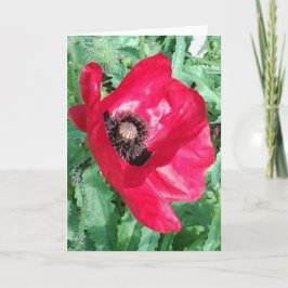 Red Poppy x 2 Photos Greeting Card Karte