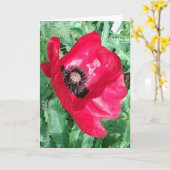 Red Poppy x 2 Photos Greeting Card Karte (Gelbe Blume)
