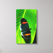 Red Postman Leinwanddruck (Vorderseite)