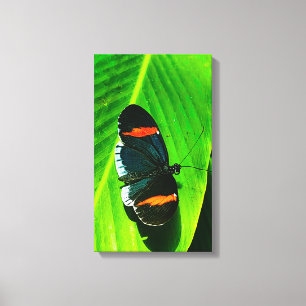 Red Postman Leinwanddruck