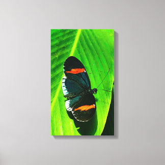 Red Postman Leinwanddruck