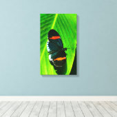 Red Postman Leinwanddruck (Insitu (Holzboden))