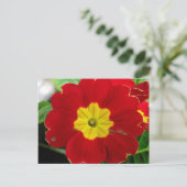 Red Primrose Postcard Postkarte (Stehend Vorderseite)