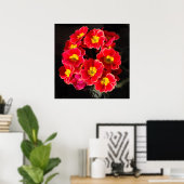 Red Primula im Frühjahr Poster (Heimbüro)
