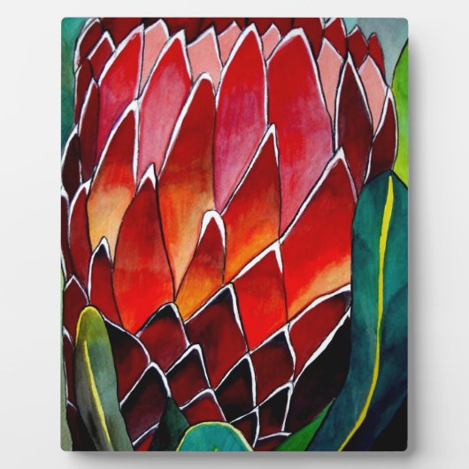 Red Protea Blume Original Aquarellkunst Fotoplatte (Vorderseite)
