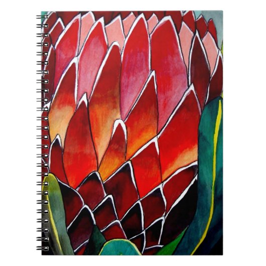 Red Protea Blume Original Aquarellkunst Notizblock (Vorderseite)
