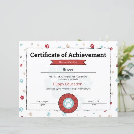 Red Puppy Program Pet Obedience School Pre Puppy (Stehend Vorderseite)