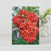 Red Pyracantha Berries Dankeskarte (Stehend Vorderseite)