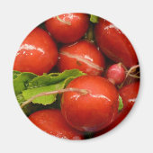 Red Radish Magnet (Vorne)
