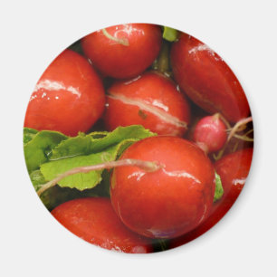 Red Radish Magnet
