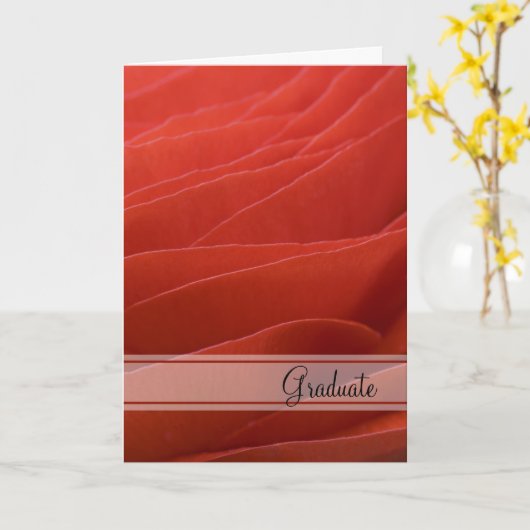 Red Ranunculus Abschluss Glückwünsche Karte (Gelbe Blume)