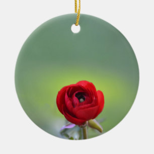 Red Ranunculus Blossom Keramik Ornament