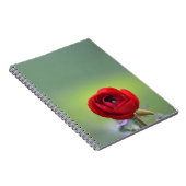 Red Ranunculus Blossom Notizblock (Rechte Seite)