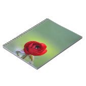 Red Ranunculus Blossom Notizblock (Linke Seite)