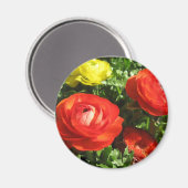Red Ranunculus Blume Magnet (Vorderseite/Rückseite)