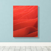 Red Ranunculus Blume Petals Leinwanddruck (Insitu (Holzboden))