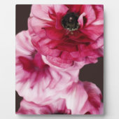 Red Ranunculus Fotoplatte (Vorderseite)