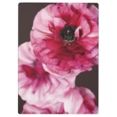 Red Ranunculus Klemmbrett (Rückseite)