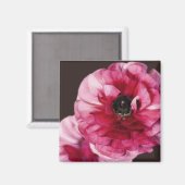 Red Ranunculus Magnet (Vorderseite/Rückseite)