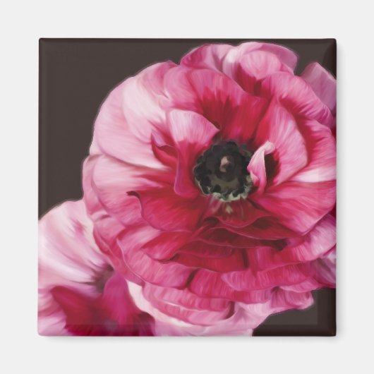 Red Ranunculus Magnet (Vorne)