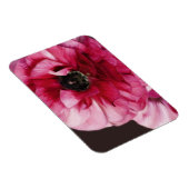 Red Ranunculus Magnet (Rechte Seite)