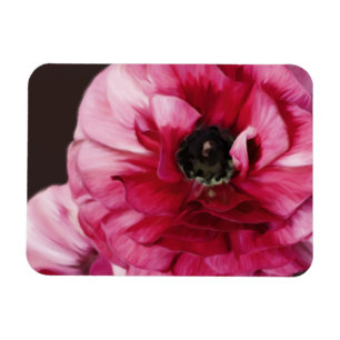 Red Ranunculus Magnet