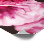 Red Ranunculus Poster (Ecke)