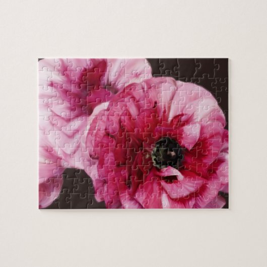 Red Ranunculus Puzzle (Horizontal)