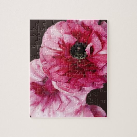 Red Ranunculus Puzzle (Vertikal)
