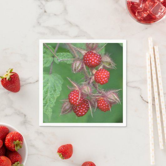 Red Raspberries Paper Napkin Serviette (Beispiel)