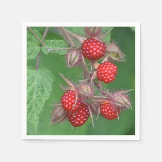 Red Raspberries Paper Napkin Serviette (Vorderseite)