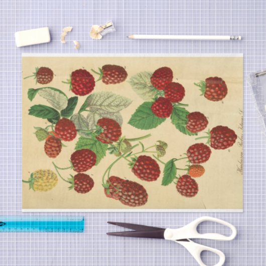 Red Raspberry Script Ephemera Decoupage Seidenpapier (Handwerk)