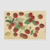 Red Raspberry Script Ephemera Decoupage Seidenpapier (Vorderseite)