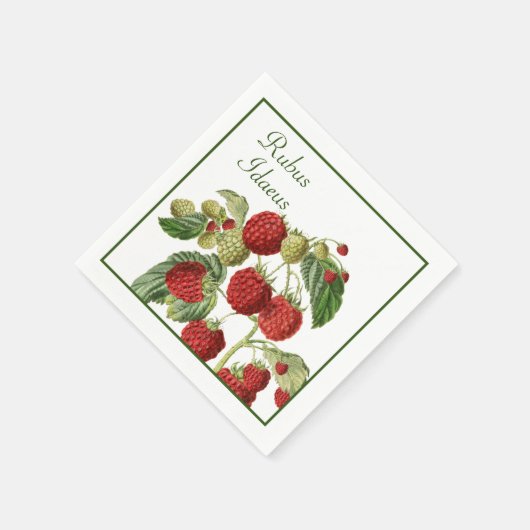 Red Raspberry Stems Serviette (Ecke)