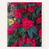 Red Rhododendron Blooms Floral-Notebook Notizblock (Vorderseite)