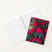 Red Rhododendron Blooms Floral-Notebook Notizblock (Innenseite)